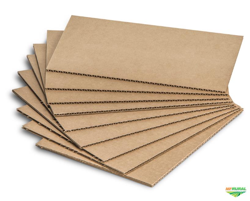 Papelão p122